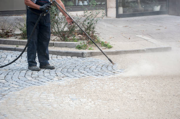 Best Spring Cleaning  in West Belmar, NJ