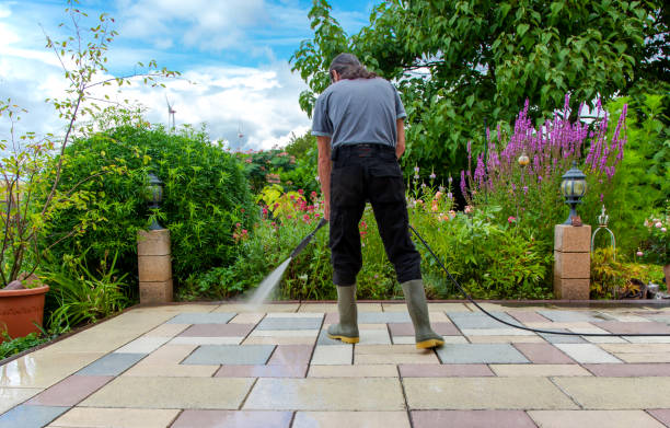 Best Driveway Pressure Washing  in West Belmar, NJ