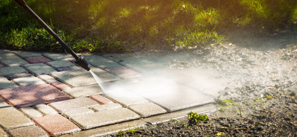 Best Gutter Cleaning  in West Belmar, NJ